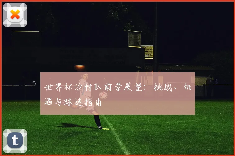 世界杯沙特队前景展望:挑战、机遇与球迷指南