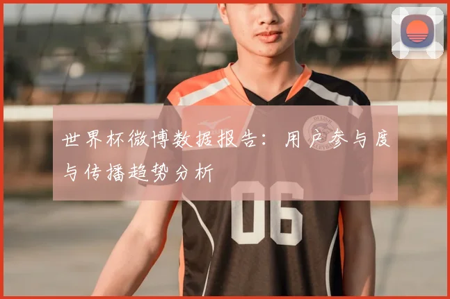 世界杯微博数据报告：用户参与度与传播趋势分析